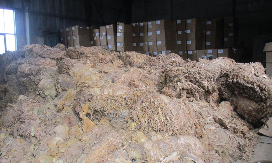 2016-8-19-141prostor se zájmovým zbožím.JPG